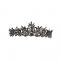 BLACK VINTAGE BRIDAL CROWN AC034