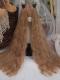 47INCH SUPER LONG FLAXEN BROWN RIPPER CORR CURLS LOLITA WIG LG939