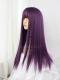 Purple Long Straight Synthetic Lace Front Wig LG534